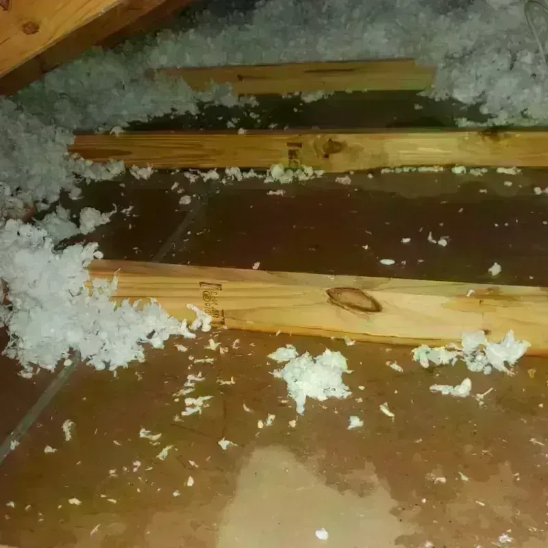 Attic Water Damage in Walton County, GA