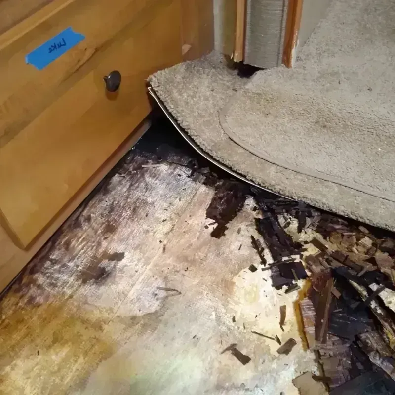 Best Wood Floor Water Damage Service in Walton County, GA